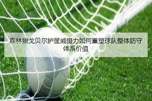 森林狼戈贝尔护筐威慑力如何重塑球队整体防守体系价值