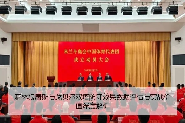 森林狼唐斯与戈贝尔双塔防守效果数据评估与实战价值深度解析
